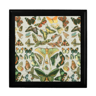 Vintage Butterfly Moth Pattern Print Jewelry Box