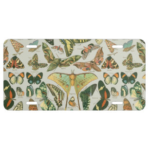 Vintage Butterfly Moth Pattern Print License Plate