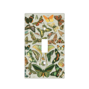 Vintage Butterfly Moth Pattern Print Light Switch Cover