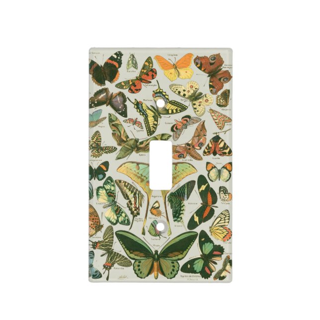 Vintage Butterfly Moth Pattern Print Light Switch Cover (Front)