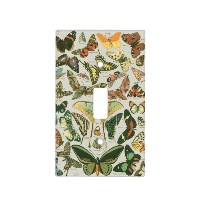 Vintage Butterfly Moth Pattern Print Light Switch Cover (Front)