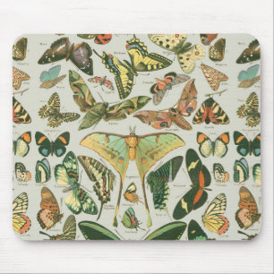 Vintage Butterfly Moth Pattern Print Mouse Pad