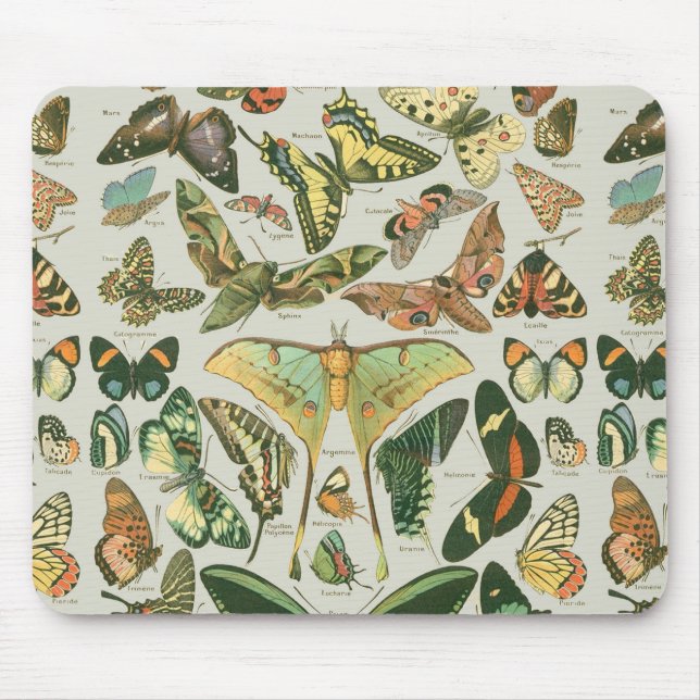 Vintage Butterfly Moth Pattern Print Mouse Pad (Front)