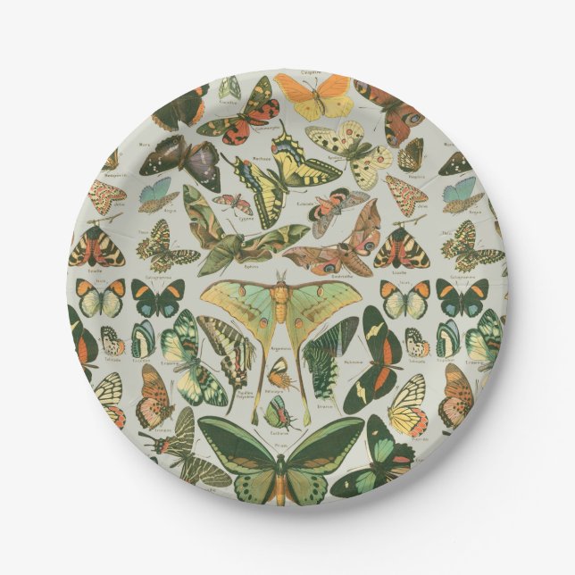 Vintage Butterfly Moth Pattern Print Paper Plates (Front)