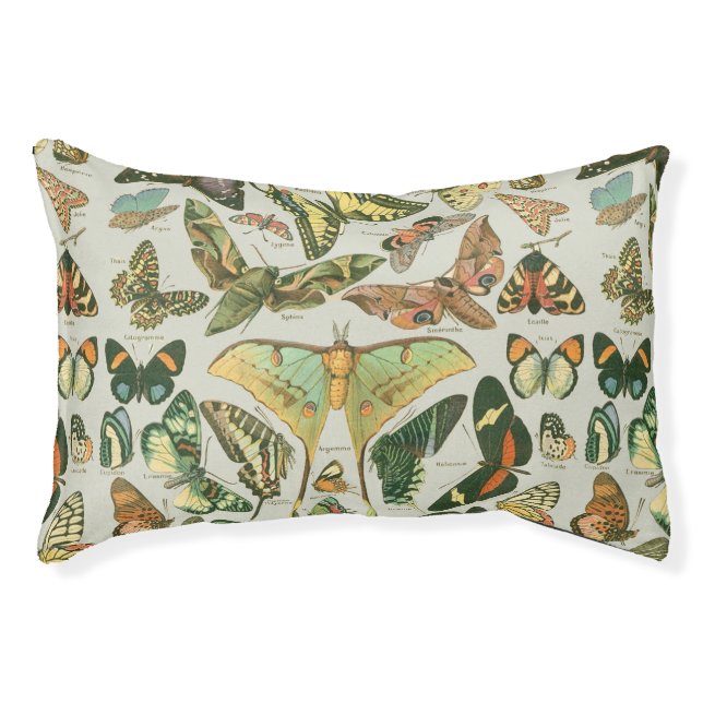 Vintage Butterfly Moth Pattern Print Pet Bed (Front)