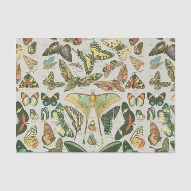 Vintage Butterfly Moth Pattern Print Tissue Paper (Front)