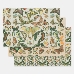 Vintage Butterfly Moth Pattern Print Wrapping Paper Sheets