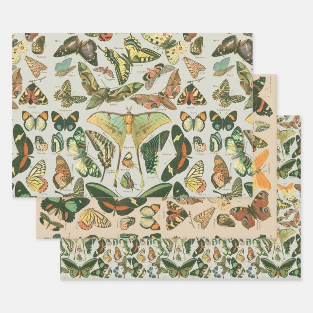 Vintage Butterfly Moth Pattern Print Wrapping Paper Sheets (Set)