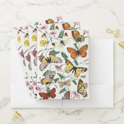 Vintage Butterfly  Moth   Pocket Folder