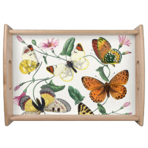 Vintage Butterfly & Moth Serving Tray