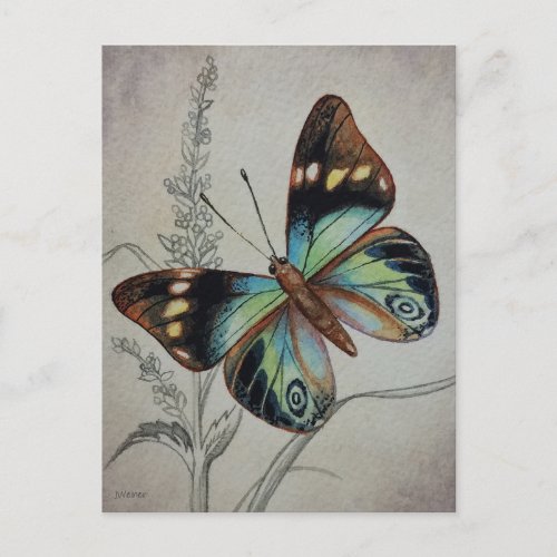 Vintage Butterfly No 1 Watercolor Art Postcard
