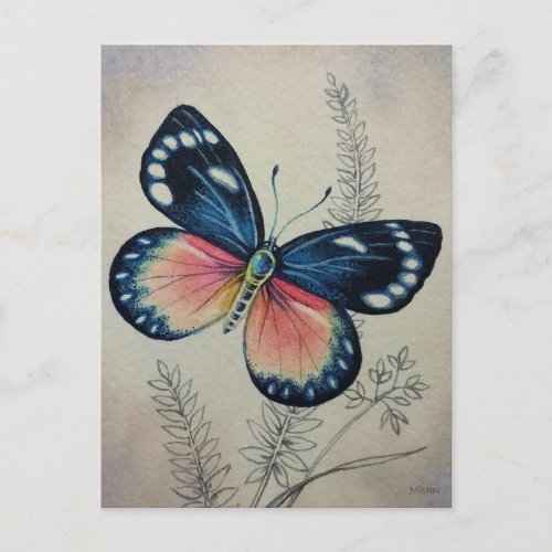 Vintage Butterfly No 2 Watercolor Art Postcard