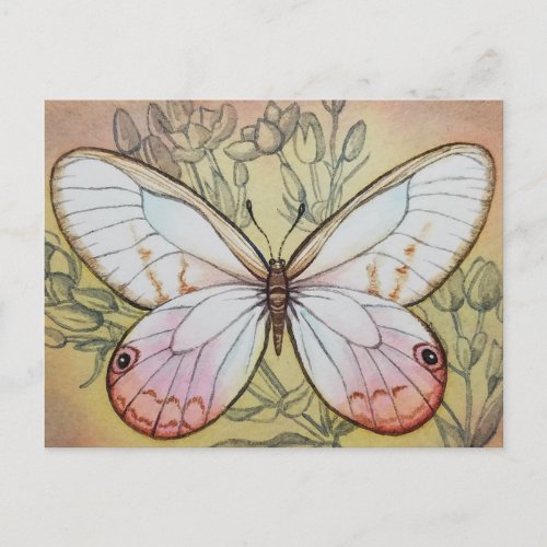 Vintage Butterfly No 6 Watercolor Art Postcard