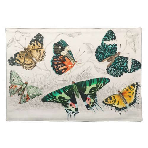 Vintage Butterfly Old Illustration Art Cloth Placemat
