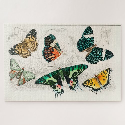 Vintage Butterfly Old Illustration Art Jigsaw Puzzle