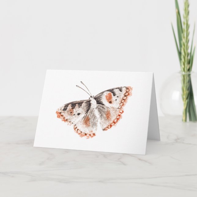 Vintage Butterfly Old Illustration Card (Front)