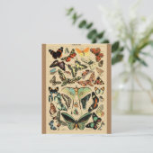Vintage Butterfly Papillon Old Illustration Art (Standing Front)