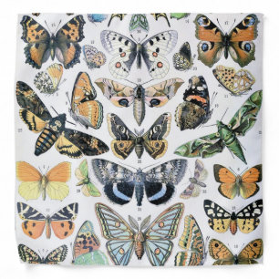 Vintage Butterfly Papillon Old Illustration Art Bandana