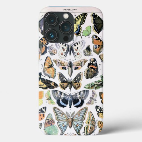 Vintage Butterfly Papillon Old Illustration Art iPhone 13 Pro Case