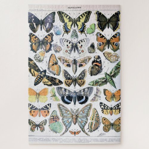 Vintage Butterfly Papillon Old Illustration Art Jigsaw Puzzle