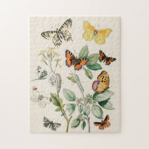 Vintage Butterfly Papillon Old Illustration Art Jigsaw Puzzle