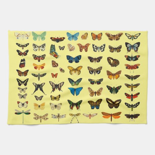 Vintage Butterfly Papillon Old Illustration Art Kitchen Towel