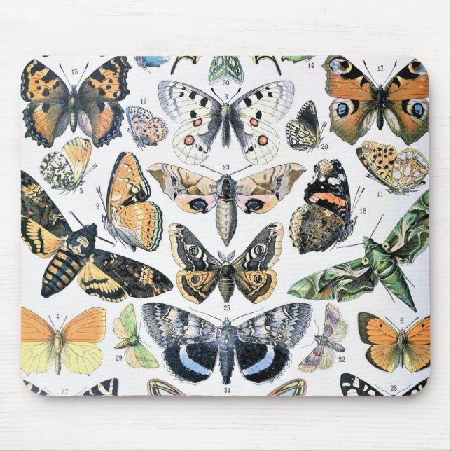 Vintage Butterfly Papillon Old Illustration Art Mouse Pad (Front)