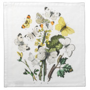 Vintage Butterfly Papillon Old Illustration Cloth Napkin at Zazzle