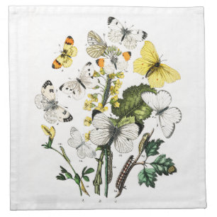 Vintage Butterfly Papillon Old Illustration Cloth Napkin