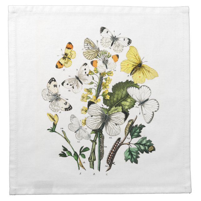 Vintage Butterfly Papillon Old Illustration Cloth Napkin (Front)