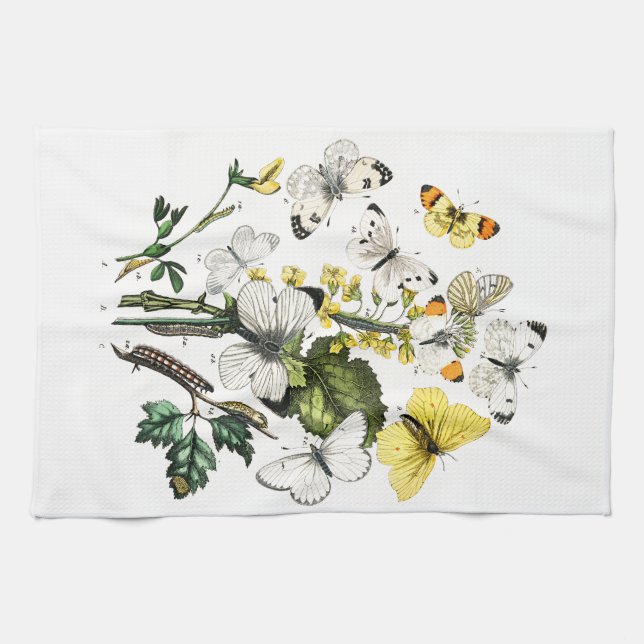 Vintage Butterfly Papillon Old Illustration Kitchen Towel (Horizontal)