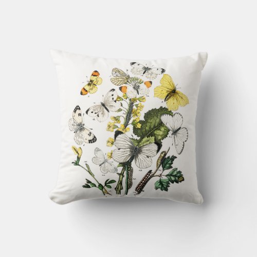 Vintage Butterfly Papillon Old Illustration Throw Pillow