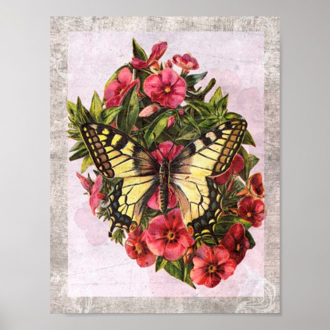 Vintage Butterfly Poster (Front)