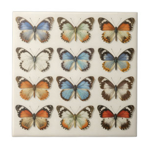 Vintage Butterfly Specimen Collection Ceramic Tile