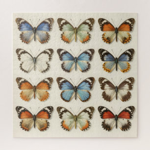 Vintage Butterfly Specimen Collection Jigsaw Puzzle