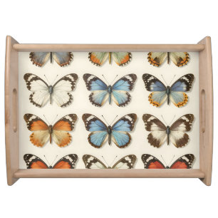 Vintage Butterfly Specimen Collection Serving Tray