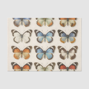 Vintage Butterfly Specimen Collection Tissue Paper