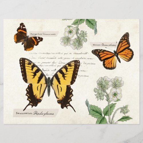 Vintage Butterfly Swallowtail Monarch Painted Lady