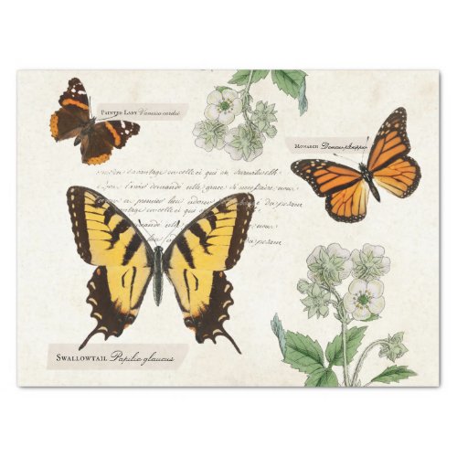 Vintage Butterfly Swallowtail Monarch Painted Lady Tissue Paper