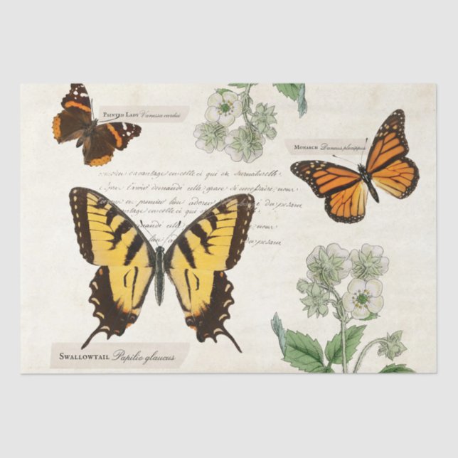 Vintage Butterfly Swallowtail Monarch Painted Lady Tissue Paper (Front)