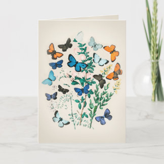 Vintage Butterfly Watercolor  Card