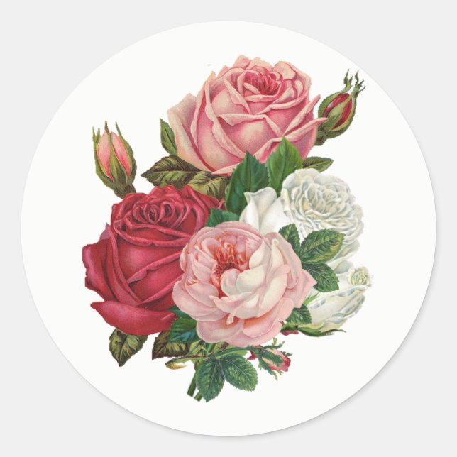 Vintage Cabbage Roses-White Background Classic Round Sticker (Front)