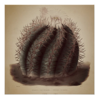 Vintage cactus artwork poster