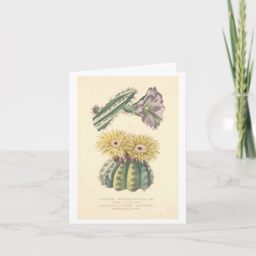 Vintage Cactus Botanical Illustration Card