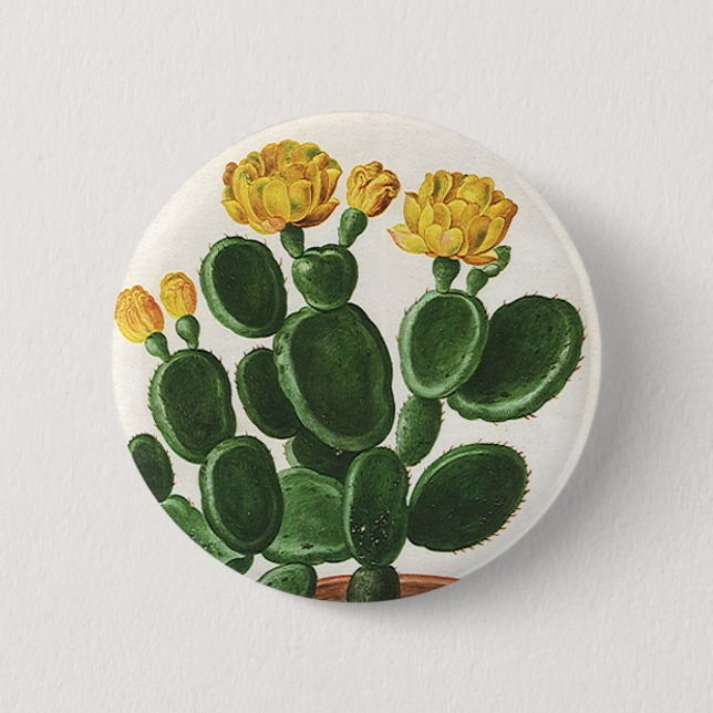Vintage Cactus Flowers, Succulent Cacti Plants Pinback Button (Front)