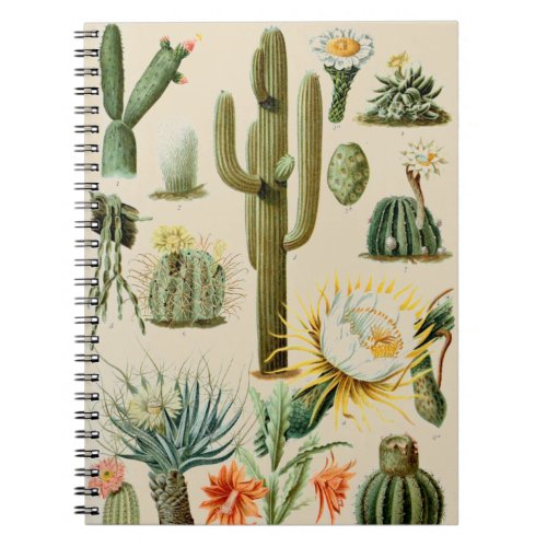 Vintage Cactus  Spiral Notebook
