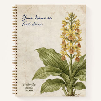 Vintage Calanthe Striata Botanical Fraud  Notebook