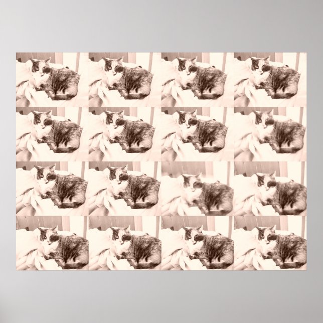 Vintage Calico Cat Poster (Front)