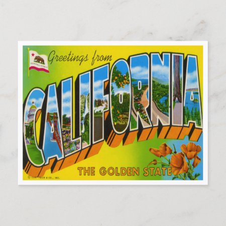 Vintage California Announcement Postcard
