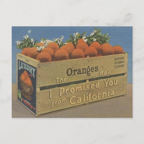 Vintage California Oranges Post Card